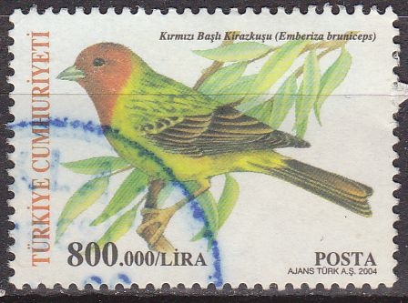Turquia 2004 Scott 2894 Sello º Fauna Pajaro Emberiza bruniceps Turquie Turkia